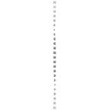 Simon 55 Gniazdo komputerowe podwójne RJ45 kategoria 6 ekranowane z przesłoną przeciwkurzową Biały m