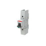 S801S-B25-R Wyłącznik nadprądowy 50kA 1P B25A 2CCS861002R0255 ABB