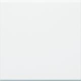 tehalit.WA Klawisz do łącznika 1-klawiszowego PC-ABS bezhalogenowy biały