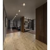 Oprawa DOWNLIGHTSURFACE DN 250 P 45W 830 36D IP65 WT