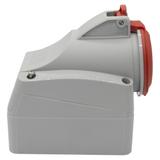 P17 Tempra Pro Gniazdo Stałe 16A 3P+N+Z 400V IP44 555159 LEGRAND
