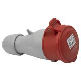 P17 Tempra Pro Gniazdo Przenośne 16A 3P+N+Z 400V IP44 555109 LEGRAND