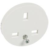 CELIANE - PLAKIETKA GNIAZDA 2P+Z STANDARD ANGIELSKI BIAŁA, Legrand