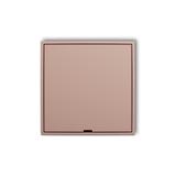 ICON Ramka pośrednia z zaślepką  łososiowy