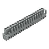 MCS-MIDI Classic gniazdo 17-bieg. szare raster 5 mm /25szt./ WAGO