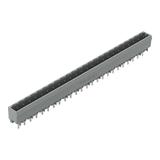 MCS-MIDI Classic wtyk 24-bieg. szary raster 5 mm /50szt./ WAGO