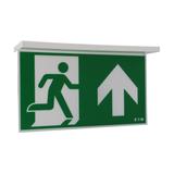 NexiTech LED szyba strzałka do góry / strzałka do góry 30m ISO7010 NEXI-PLEX-UU EATON