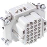 H-DD 24 BCM WKŁAD ŻEŃSKI 11286000 LAPP KABEL
