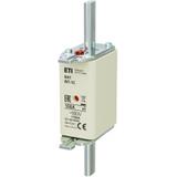 Wkładka topikowa NH zwłoczna KOMBI Pokrywy stalowe NH1 WT-1C gG 100A 500V G 004113411 ETI