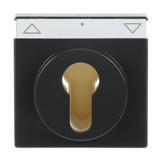 CARAT/FUTURE  Pokrywa z polem opisowym. Z nadrukiem Do wyłącznika na klucz i wyłącznika/przycisku ża