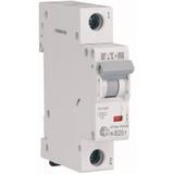 HN-B20/1 Wyłącznik nadprądowy 6kA B20A 1P 194822 EATON