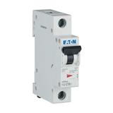 FAZ-C16/1 Wyłącznik nadprądowy 15kA C16A 1P 278561 EATON