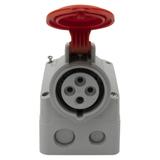 P17 TEMPRA PRO GNIAZDO STAŁE 16A 3P+Z 400V IP44, Legrand