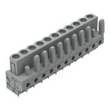 MCS-MIDI Classic gniazdo 11-bieg. szare raster 5 mm /25szt./ WAGO
