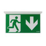 NexiTech LED opal szyba strzałka w dół / zaślepka 30m ISO7010 NEXI-PLEXO-DB EATON