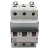 WYŁĄCZNIK NADPRĄDOWY S 303 3P C 50A 6000A SERII DX3, Legrand