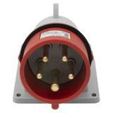 P17 Wtyczka Odbiornikowa 16 A/400 V/3P+N+Z IP44 057589 LEGRAND