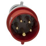 P17 Tempra Pro Wtyczka Przenośna 16A 3P+N+Z 400V IP44  555129 LEGRAND