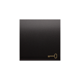 Simon 54 Klawisz pojedynczy z piktogramem klucza do łączników/przycisków antracyt