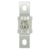 315A 690V AC BS88 HIGH SPEED FUSE Wkładka szybka 315A AC 690V DC 450V BS88 41x113 mm aR, 315FM EATON