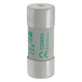 C22M50S Wkładka cylindryczna z wybijakiem 22x58 50A AM 690V AC C22M50S EATON