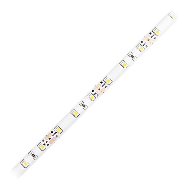 Taśma LED 12V 2835 60L/m 4,8W/m IP20 4000K 5m