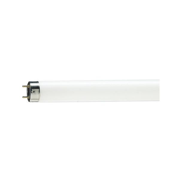 Świetlówka G13 18W 79 TLD Food mięsna PHILIPS