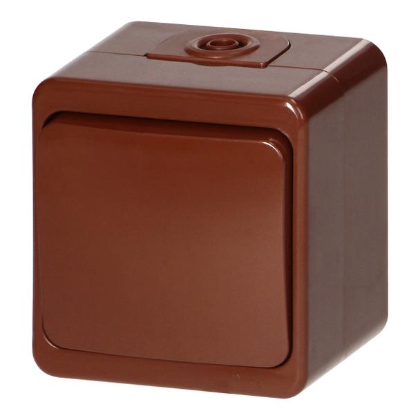 Łącznik natynkowy 10A, 250V, 1-biegunowy IP44, SMART, brązowy