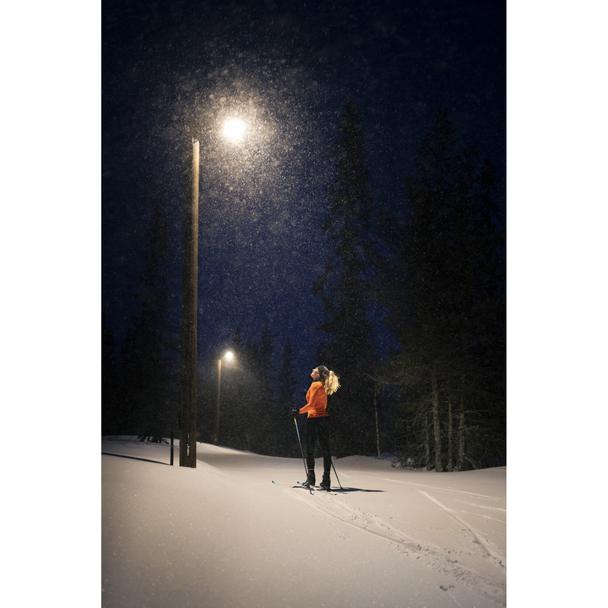 Oprawa uliczna LED STREETLIGHT FLEX SMALL 25W 3000K 730 RV25ST ALW 4058075552272 LEDVANCE