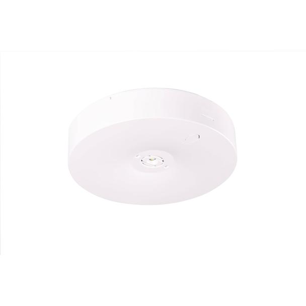 Oprawa sieciowo-awaryjna natynkowa Starlet Round LED SO 250 SA 2H CT IP20 / 91860 230V