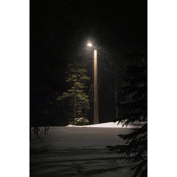 Oprawa uliczna LED STREETLIGHT FLEX SMALL 25W 3000K 730 RV25ST ALW 4058075552272 LEDVANCE