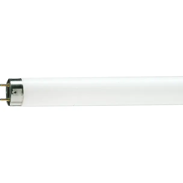 MASTER TL-D 90 Graphica 36W/965 SLV/10 Świetlówka liniowa