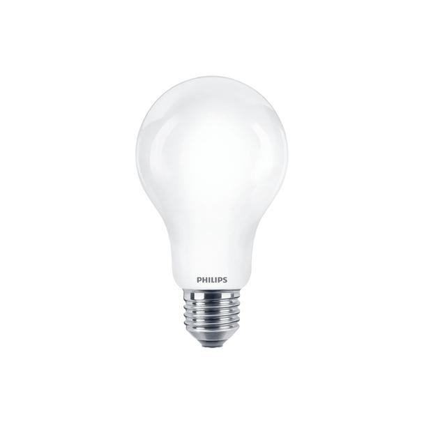 Żarówka LED 13W=120W 2000lm 6500K barwa zimna kulka 120W E27 A67 865 Szkło matowe PHILIPS