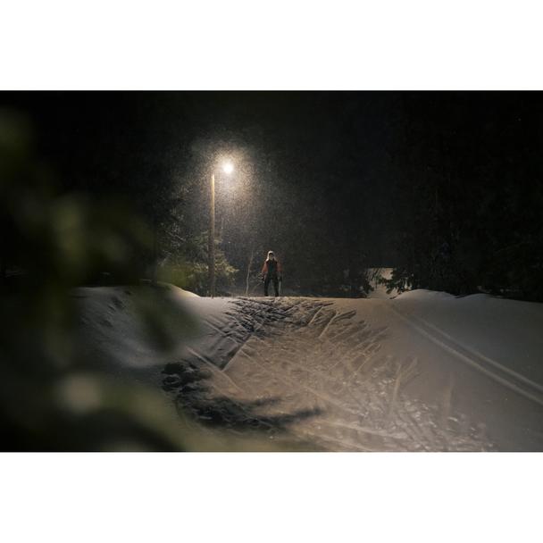Oprawa uliczna LED STREETLIGHT FLEX SMALL 25W 3000K 730 RV25ST ALW 4058075552272 LEDVANCE