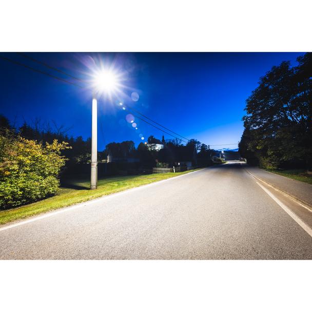Oprawa uliczna STREETLIGHT FLEX SMALL 25W 727 RV25ST ALW