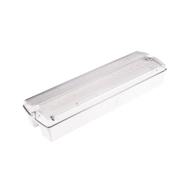 Oprawa ewakuacyjna/awaryjna ORION LED II 250 SA 3H AT LT +