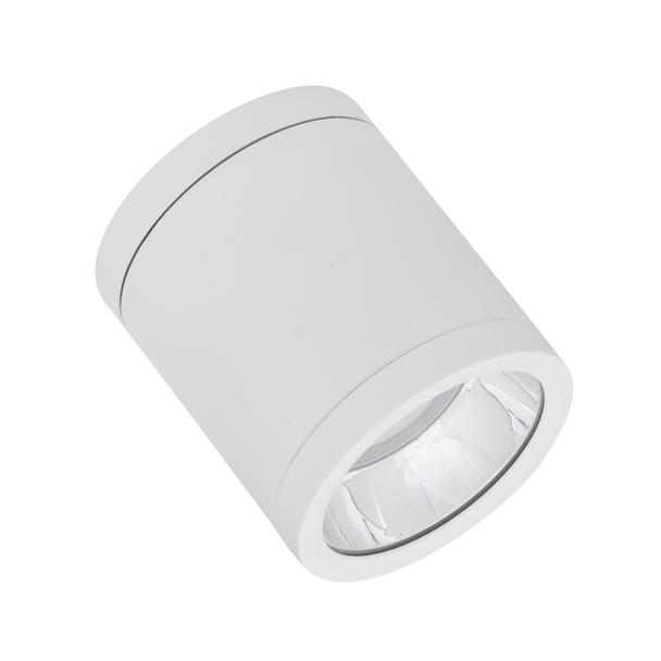 Oprawa DOWNLIGHT SURFACE DN 90 P 15W 830 60D IP65 WT