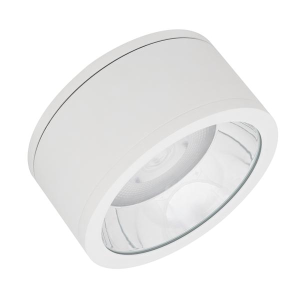 Oprawa DOWNLIGHTSURFACE DN 250 P 45W 830 36D IP65 WT