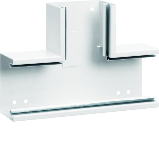tehalit.BRS Element T 65x100 stal biały BRS6510089016 HAGER