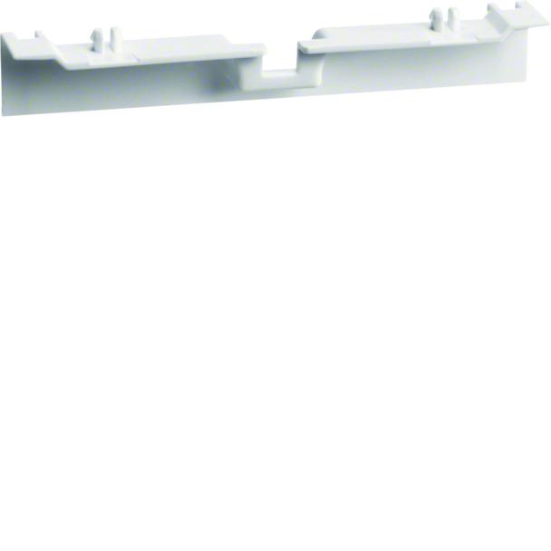 tehalit.SL Maskownica nośnika 20x55 biały SL20055A9016 HAGER