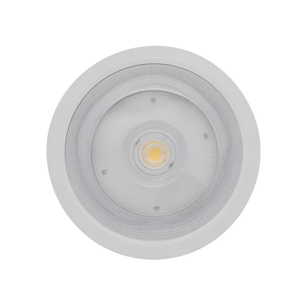 Oprawa DOWNLIGHTSURFACE DN 250 P 45W 830 36D IP65 WT