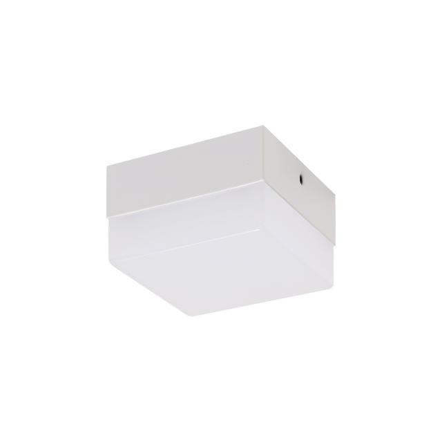 ROBIN LED D 6W 4000K