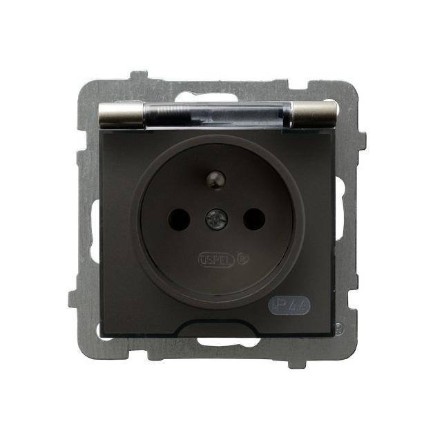 AS Gniazdo bryzgoszczelne z uziemieniem IP-44 wieczko przezroczyste - kolor satyna light