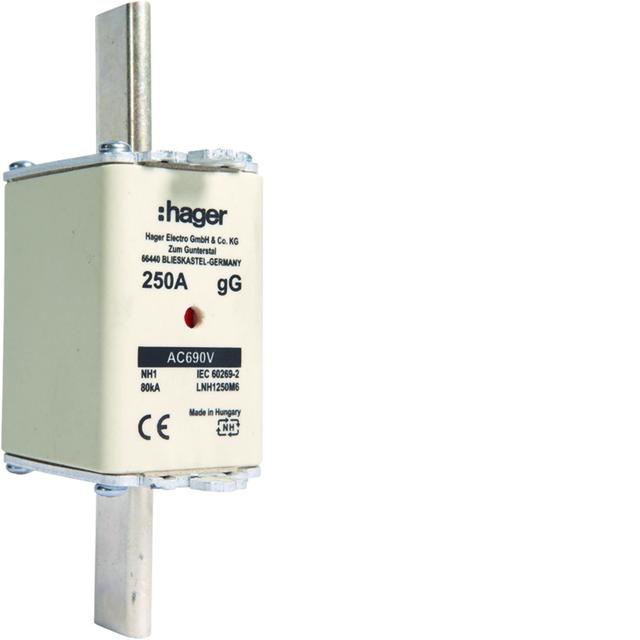 Wkładka bezp. nożowa NH1 wsk.podw. uchwyt nieiz. gG 250A 690 VAC LNH1250M6 HAGER