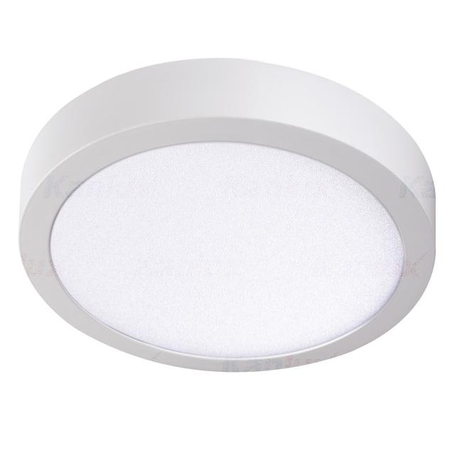 CARSA V2LED 24W-NW-W