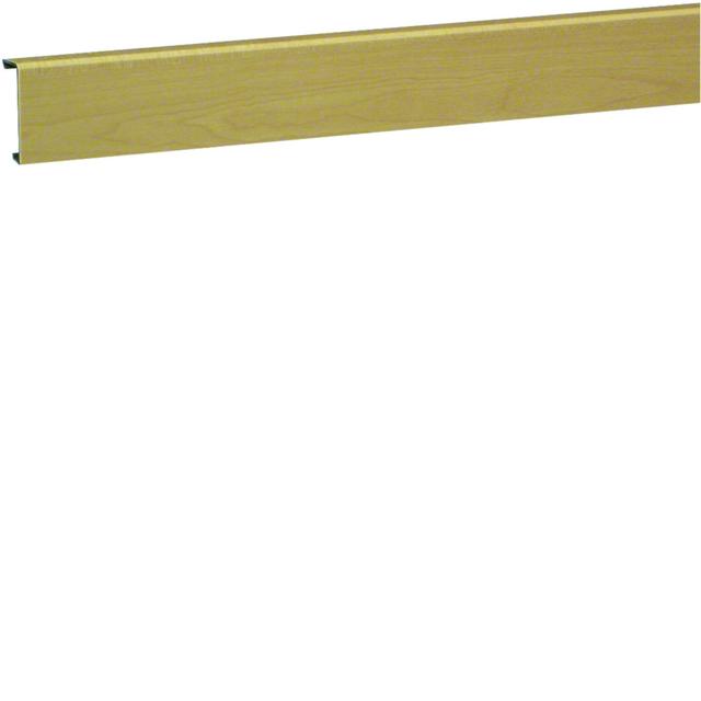 tehalit.SL Pokrywa 20x55 klon SL200552D3 HAGER