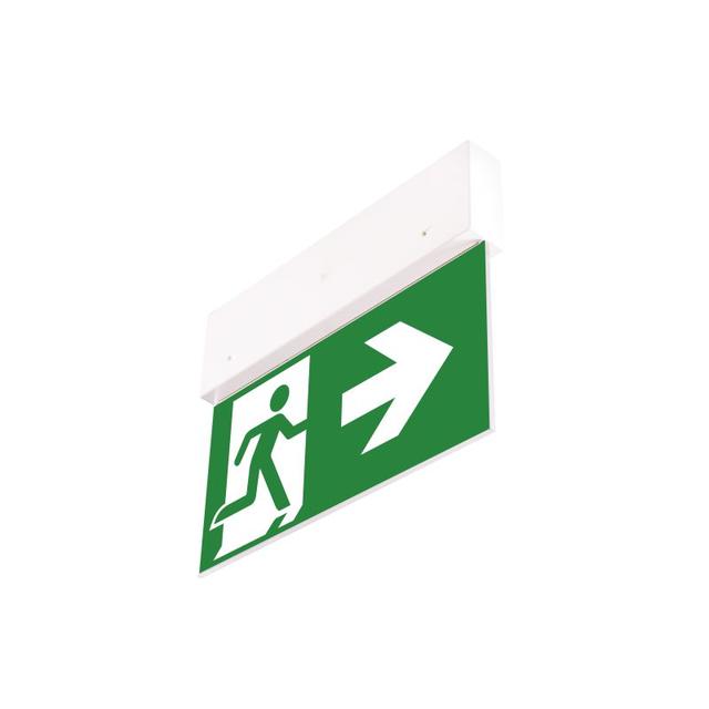 Oprawa ewakuacyjna Directo S M 1H AT +( VD3, VD4, VD5) 90381 INTELIGHT