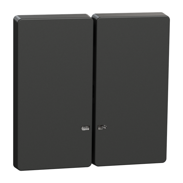 Merten, Klawisz podwójny z okienkiem sygnalizacyjnym, D-Life, antracyt