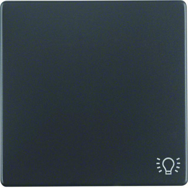 BERKER Q.x Klawisz z nadrukowany symbol światło do łącznika 1-klawiszowego antracyt aksamit 16206046