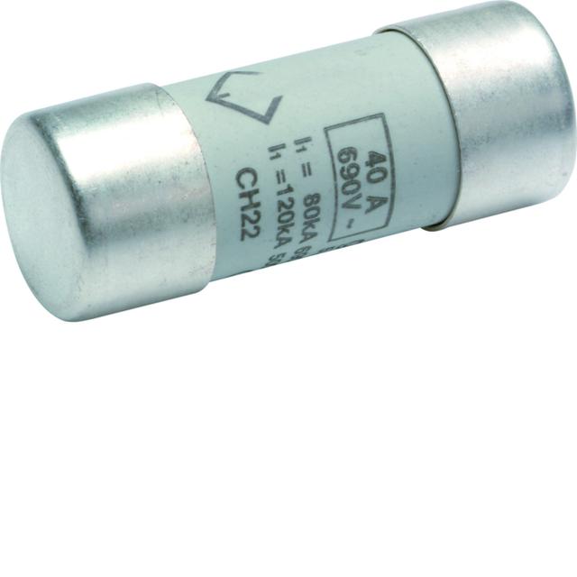 Wkładka bezpiecznikowa cylindryczna CH-22 22x58mm gG 40A 500VAC LF540G HAGER